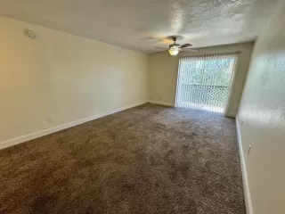 Photo #2: O6391827 Listing 