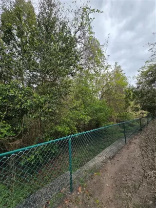 Photo #4: O6392222 Listing