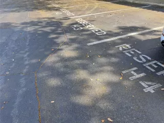 Photo #5: O6393567 Listing