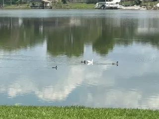 Photo #3: O6394815 Listing