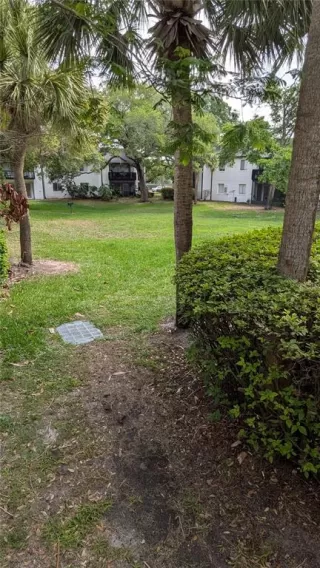 Photo #3: O6395774 Listing 