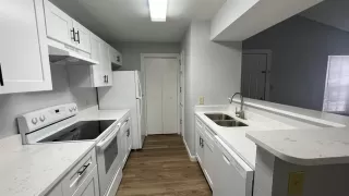 Photo #1: O6399330 Listing 