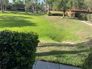 Photo #1: O6400314 Listing 