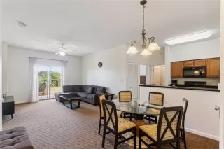 Photo #5: O6400994 Listing 