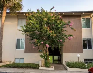 Photo #1: O6408724 Listing
