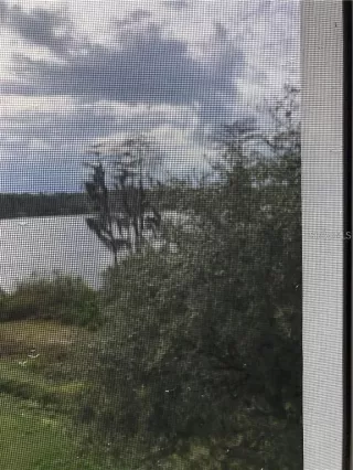 Photo #2: O6414446 Listing 
