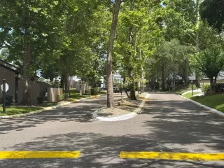 Photo #2: O6414550 Listing