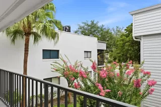 Photo #1: O6415484 Listing