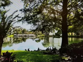 Photo #6: S5125998 Listing 