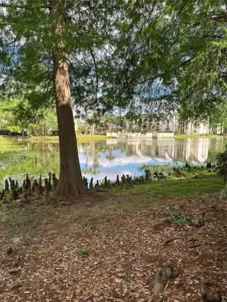 Photo #4: S5130205 Listing