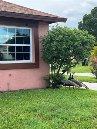 Photo #4: S5141824 Listing 