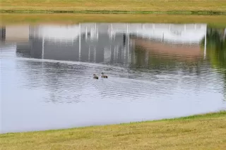 Photo #5: S5142786 Listing 