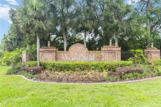 Photo #3: TB8388982 Listing