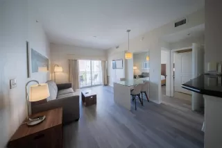 Photo #6: TB8447414 Listing