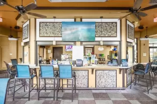 Photo #4: TB8448566 Listing