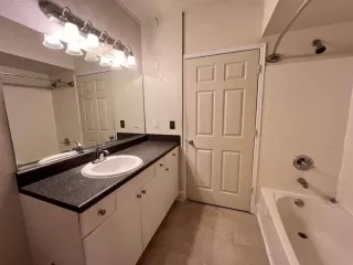 Photo #1: TB8488671 Listing 