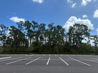 Photo #5: TB8493911 Listing 