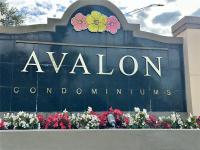 Browse active condo listings in AVALON