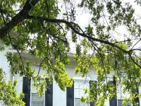More Details about MLS # G5095065 : 2261 OSPREY AVENUE