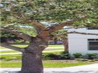 More Details about MLS # O5844224 : 775 LAKE BALDWIN LANE