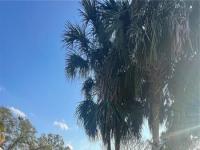 More Details about MLS # O6086856 : 380 LAKE MEADE COURT # 104