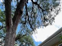 More Details about MLS # O6107301 : 2500 LEE ROAD # 237