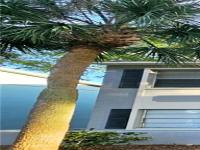 More Details about MLS # S5083939 : 2509 N ALAFAYA TRAIL # 14
